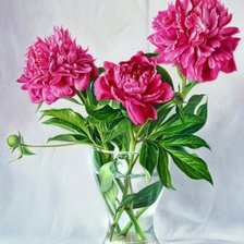 Схема вышивки «Пионы»