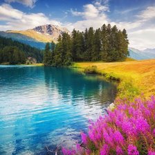 Схема вышивки «Природа»