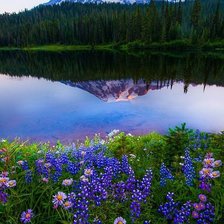 Схема вышивки «Пейзаж»