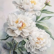 Схема вышивки «Белые пионы»