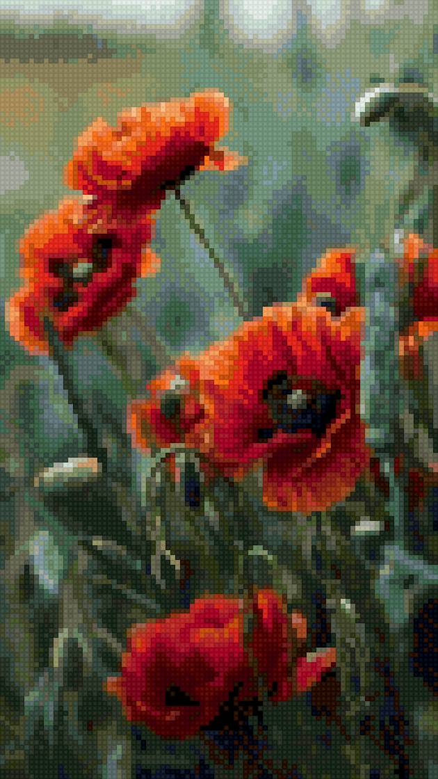 Маки - природа, цветы - предпросмотр