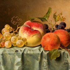 Схема вышивки «Натюрморт»