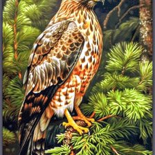 Схема вышивки «Птицы»