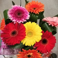 Схема вышивки «Герберы»