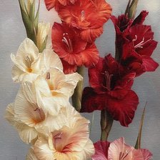 Схема вышивки «№2876994»