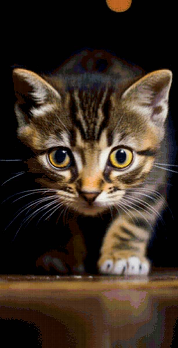 кот - кот - предпросмотр