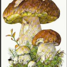 Схема вышивки «Природа»