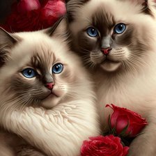 Схема вышивки «Коты»