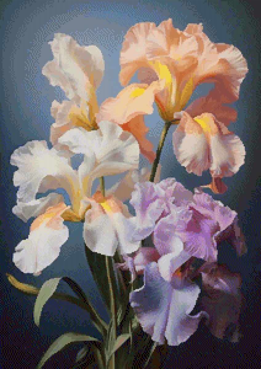 Ирисы - цветы - предпросмотр