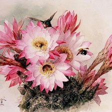 Схема вышивки «Цветущий кактус»