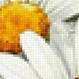 Предпросмотр схемы вышивки «№2878415»