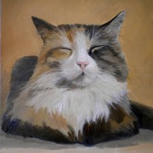 Схема вышивки «Просто Васька. Алан Албегов»