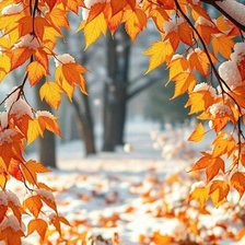 Первый снег