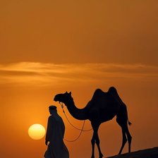 Схема вышивки «Пустыня верблюд закат»