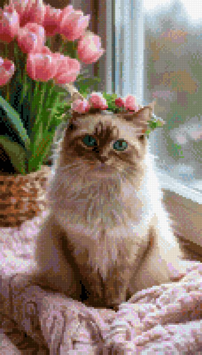 Прелесть - котик, животные - предпросмотр