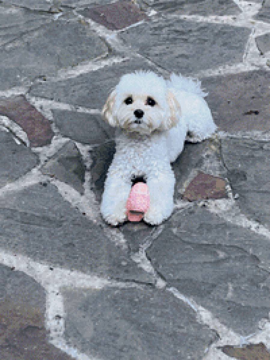 Мими - предпросмотр