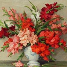 Гладиолусы