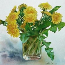 Одуванчики