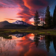 Схема вышивки «№2881156»