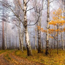 Схема вышивки «№2881921»