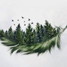 Схема вышивки «Магия пера»