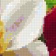 Предпросмотр схемы вышивки «Волшебное яблоко 1» (№2882146)
