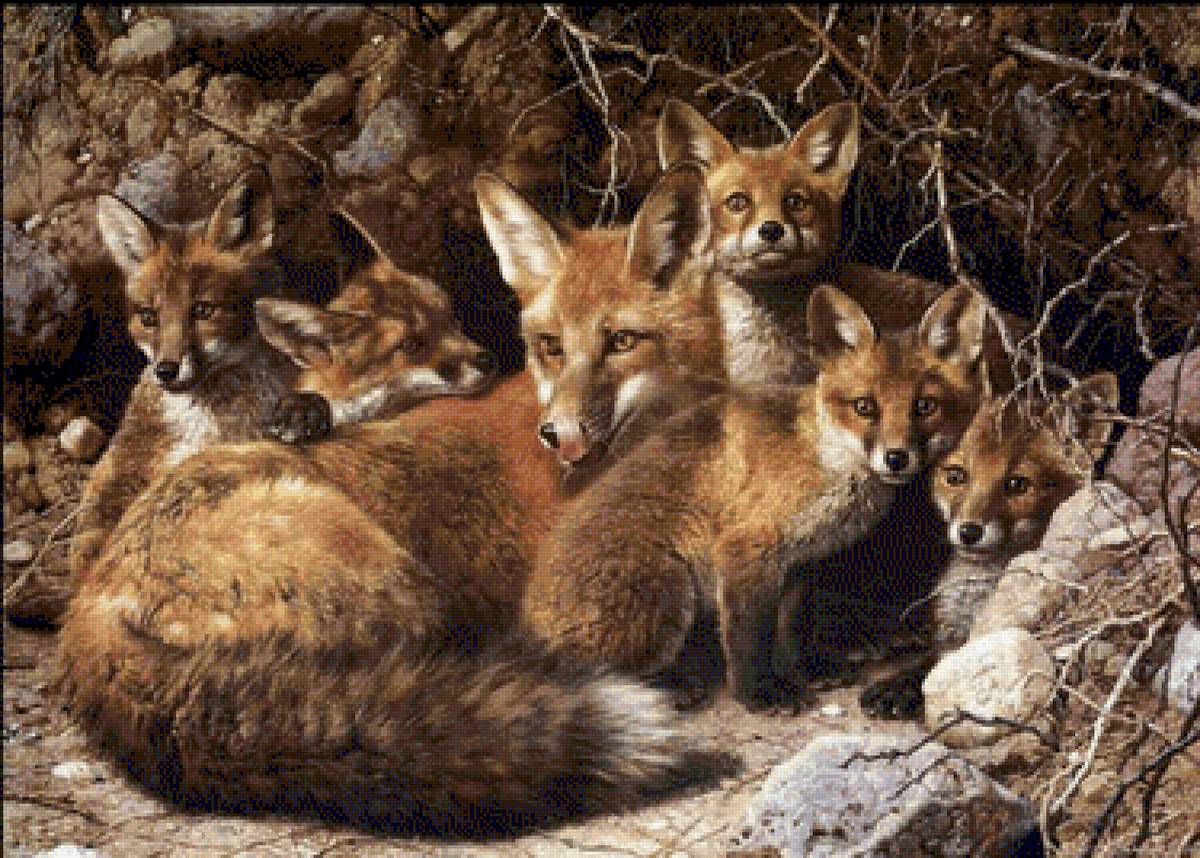 Family of foxes - предпросмотр