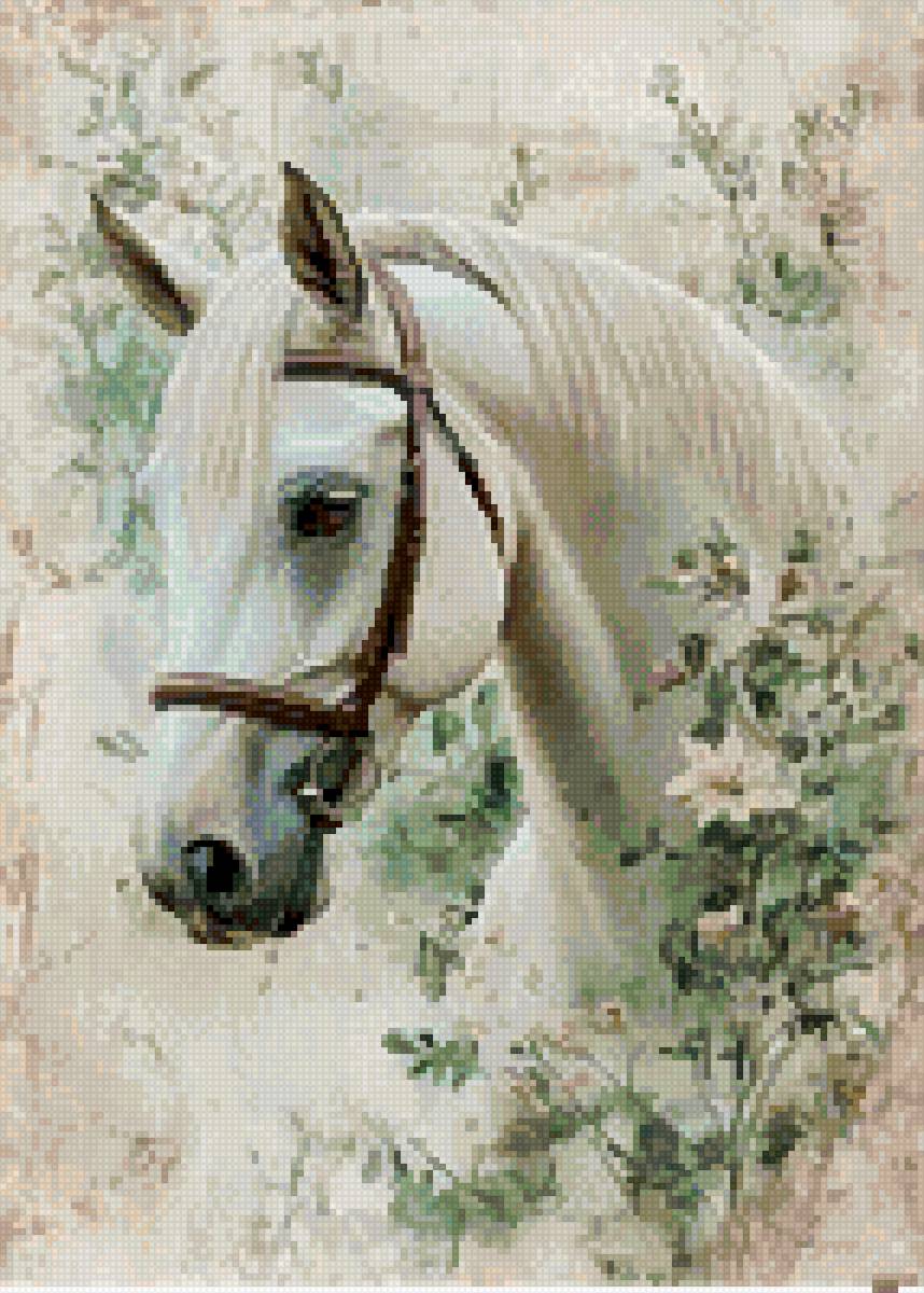 Белая лошадь - лошадь, животные - предпросмотр