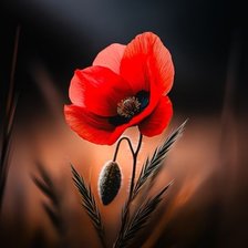 Схема вышивки «Mak»