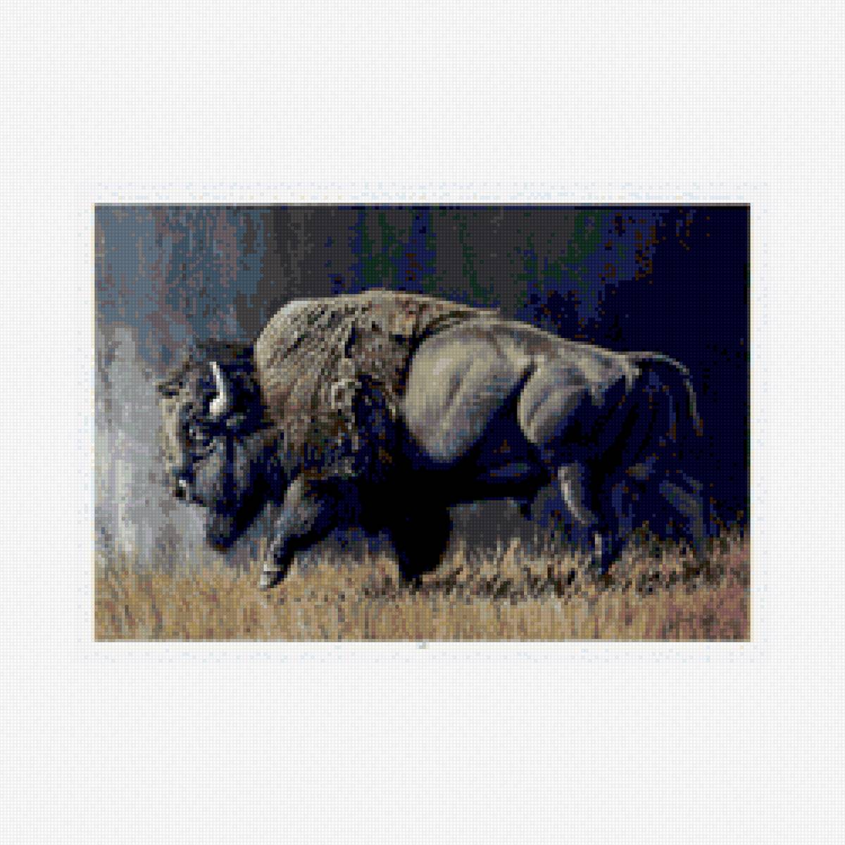 Tierno bisonte - предпросмотр