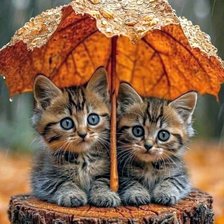 Схема вышивки «Спрятались от дождя»