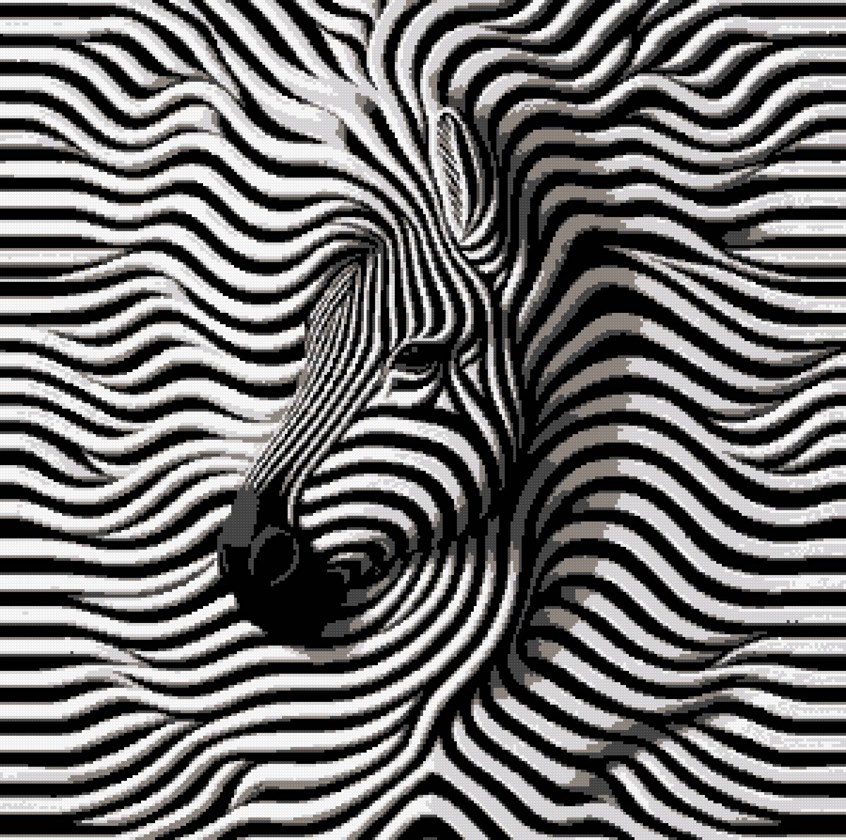 Зебра - монлхром, зебра - предпросмотр