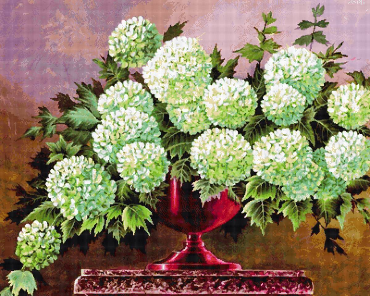 №2884783 - гортензия, букет - предпросмотр