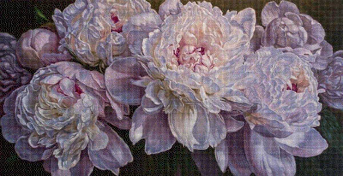 пионы - букет, пионы, розы, цветы - предпросмотр