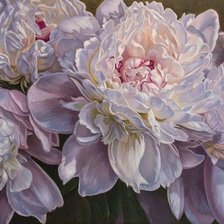 Схема вышивки «пионы»