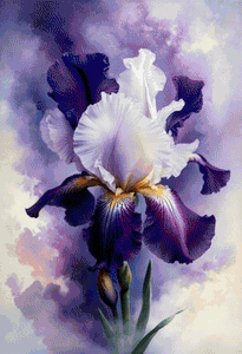 Ирис - цветы, ирис - предпросмотр