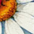 Предпросмотр схемы вышивки «№2885321»