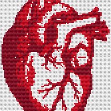 Схема вышивки «Сердце анатомическое»