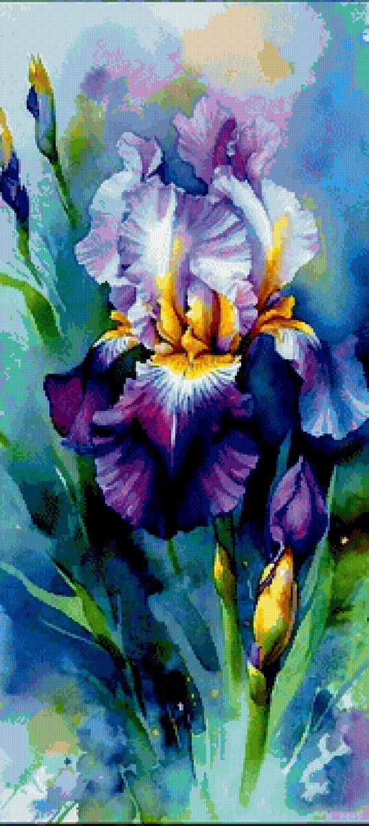 Цветы - ирисы - предпросмотр