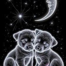 Схема вышивки «Perros»