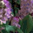 Предпросмотр схемы вышивки «Сирень» (№2886447)