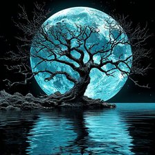 Схема вышивки «Лунный свет»