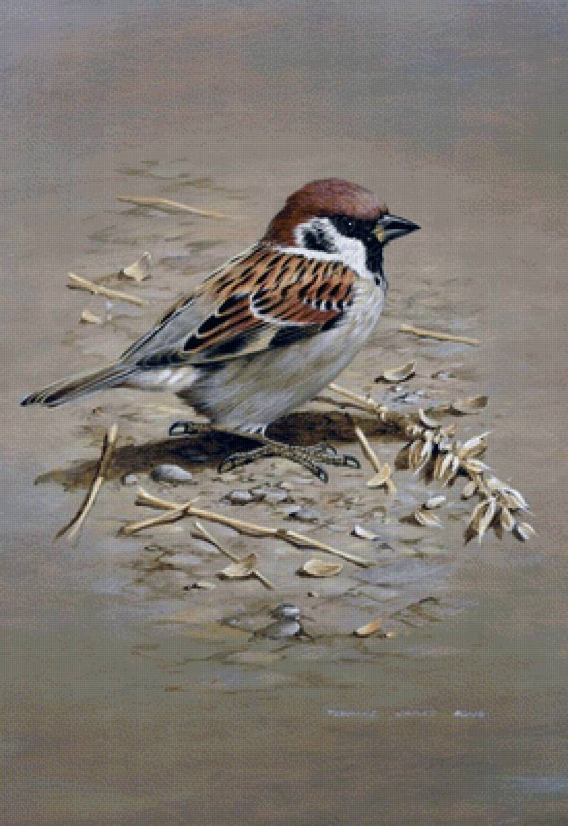 Воробушек. Теренс Джеймс Бонд - художники - предпросмотр