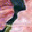 Предпросмотр схемы вышивки «Красные цветы» (№2888690)