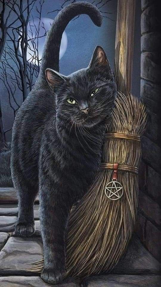 Ведьмин кот - черный кот - оригинал