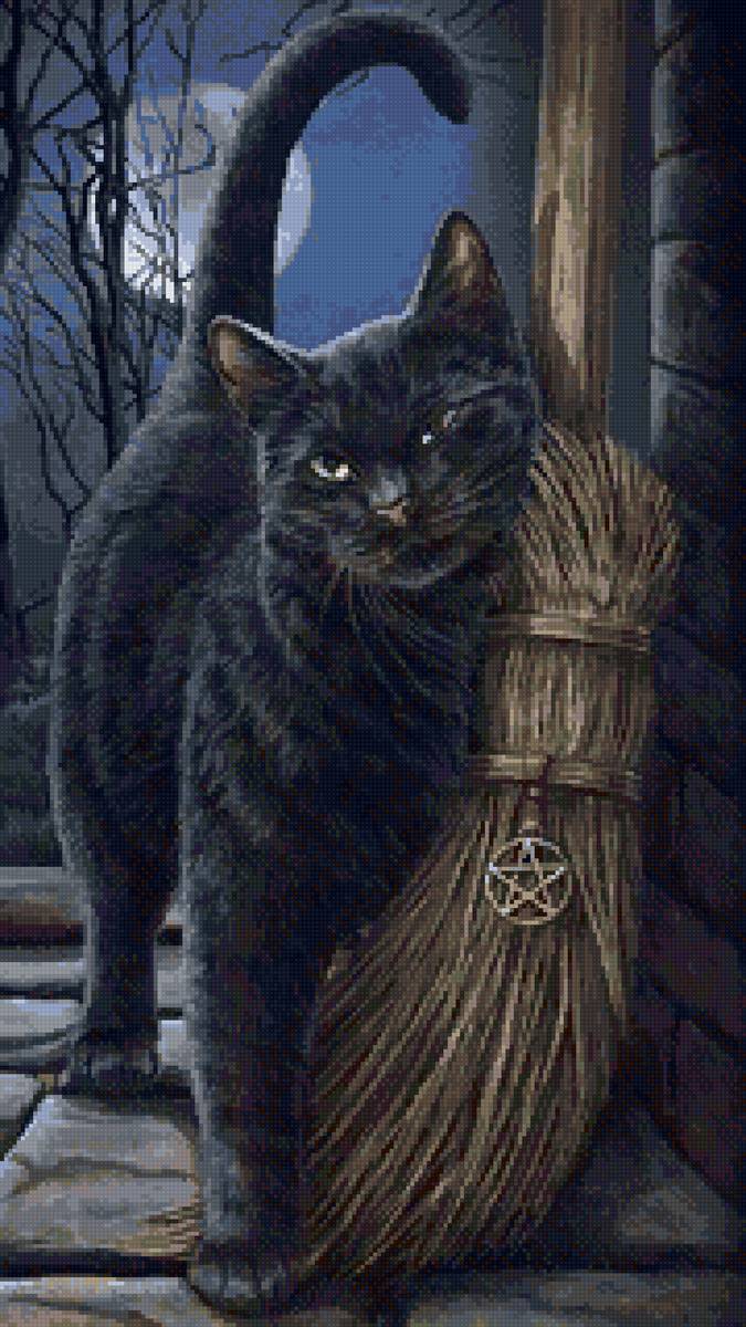 Ведьмин кот - черный кот - предпросмотр