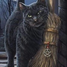 Схема вышивки «Ведьмин кот»