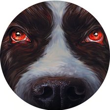 Схема вышивки «Куджо»