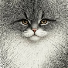 Схема вышивки «№2889031»