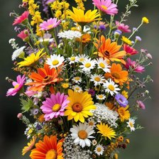 Схема вышивки «Полевые цветы»